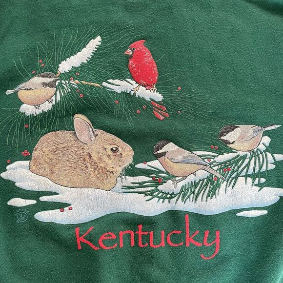 Vintage 90s Hanes Activewear Collared Sweatshirt Cardinal Bunny Snow Green Red L - Picture 5 of 10